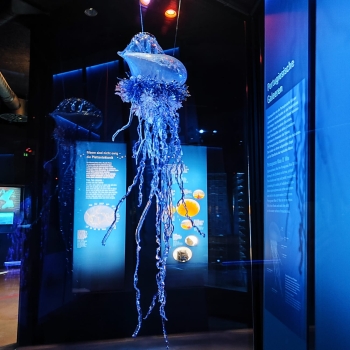 IMG-20251126-WA0065