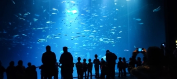 IMG-20251126-WA0039