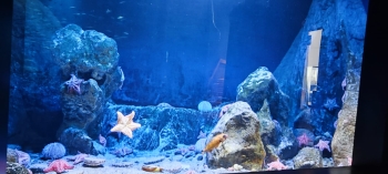 IMG-20251126-WA0034