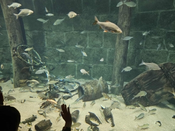 Messenger_creation_0F6C2462-7EF5-4D1B-BF10-820AB2F003AB.jpeg