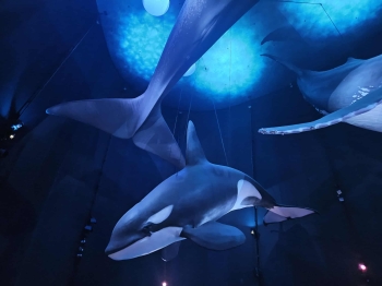 Messenger_creation_82864857-57D5-4E04-ACAC-0D2E0895BF6F.jpeg