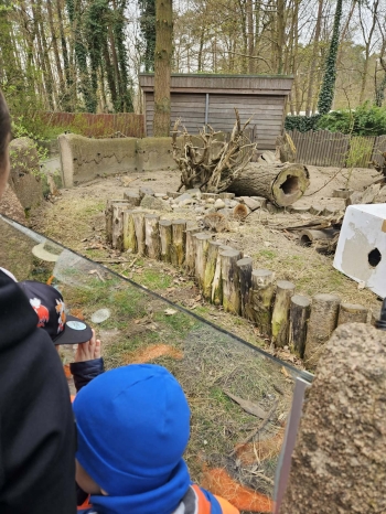 Messenger_creation_E493E078-210C-4D26-AEAB-0B9494A56CBC.jpeg