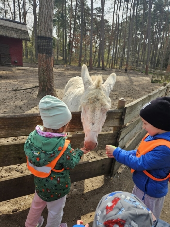 Messenger_creation_1C6D59C3-459E-4602-9562-AE639CE047DC.jpeg