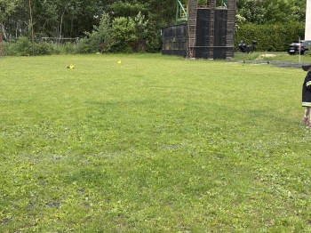 IMG_1110.jpeg