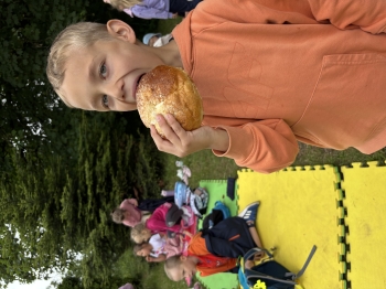 IMG_1336.jpeg