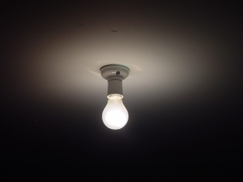 bulb-387024_1920