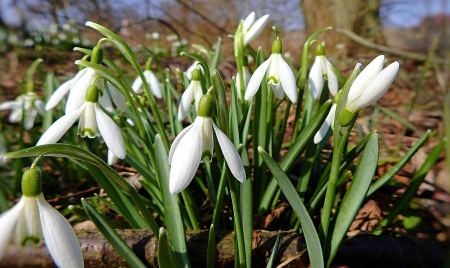 Co nas czeka w marcu