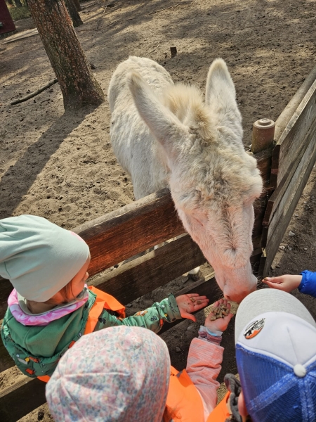 Wyjazd do Ueckermünde Zoo w ramach realizacji projektu polsko-niemieckiego