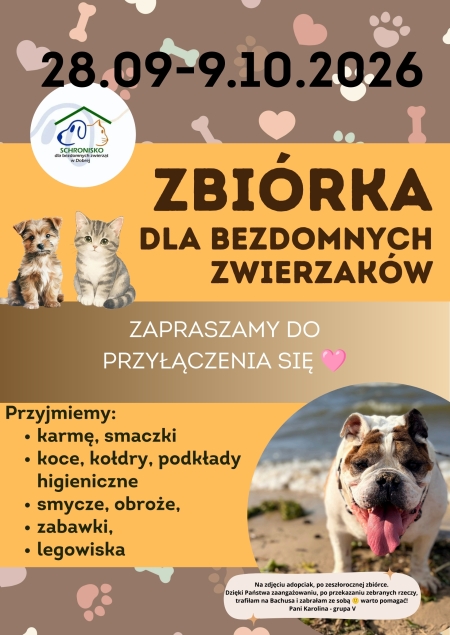 Zbiórka dla bezdomnych zwierzaków 